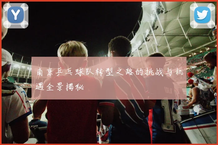 南京乒乓球队转型之路的挑战与机遇全景揭秘